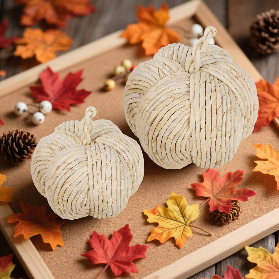 winemana 2 Pack Woven Pumpkin Decor - Fall & Thanksgiving Home Decorations, White Pumpkins Farmho... | Amazon (US)