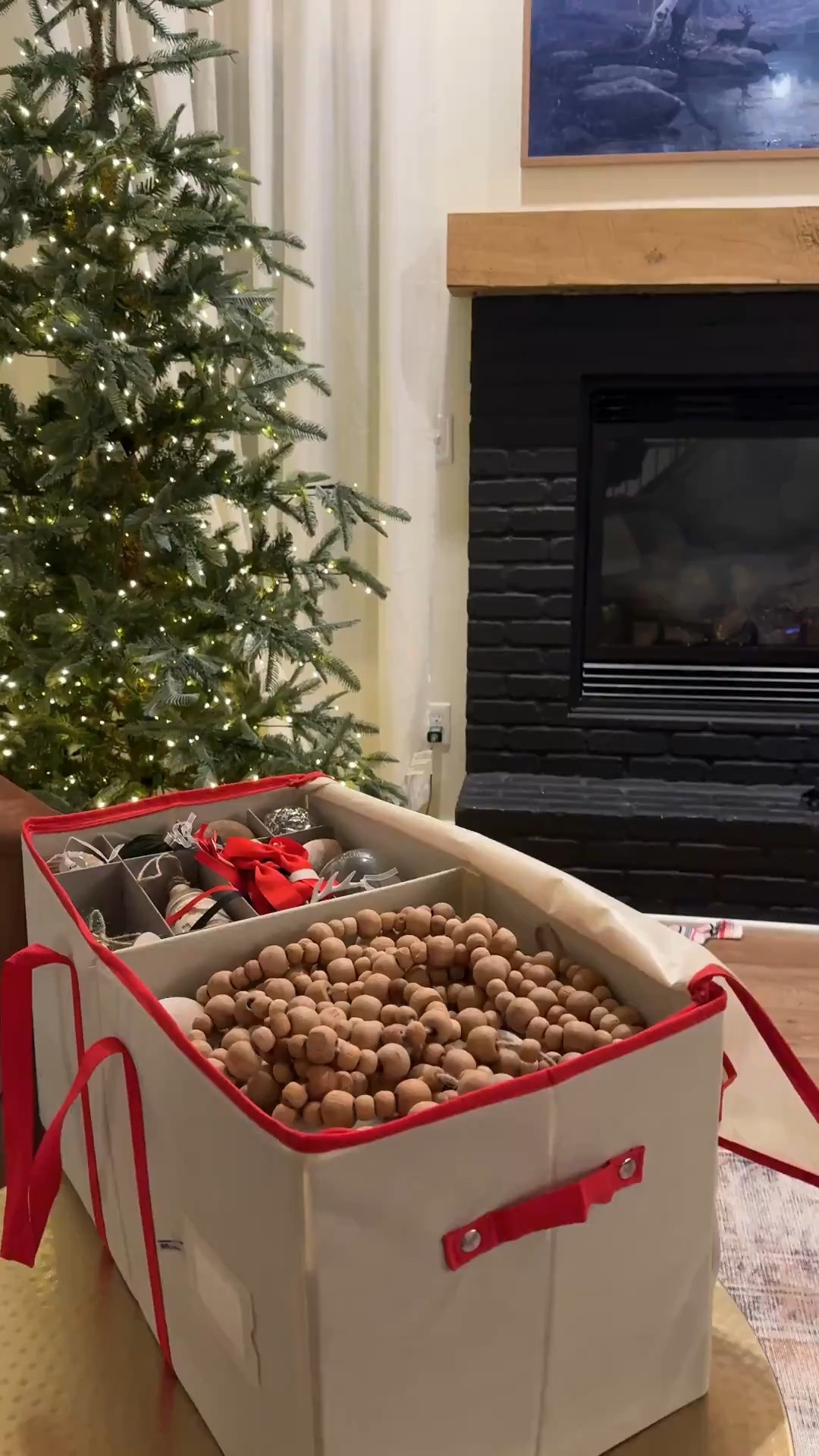 Holiday/ ornament storage on Amazon! 

#LTKSeasonal #LTKFindsUnder50 #LTKHoliday