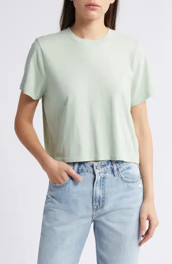 Madewell Lakeshore Softfade Cotton Crop Tee in Sunfaded Mint at Nordstrom Rack, Size Xx-Large | Nordstrom Rack