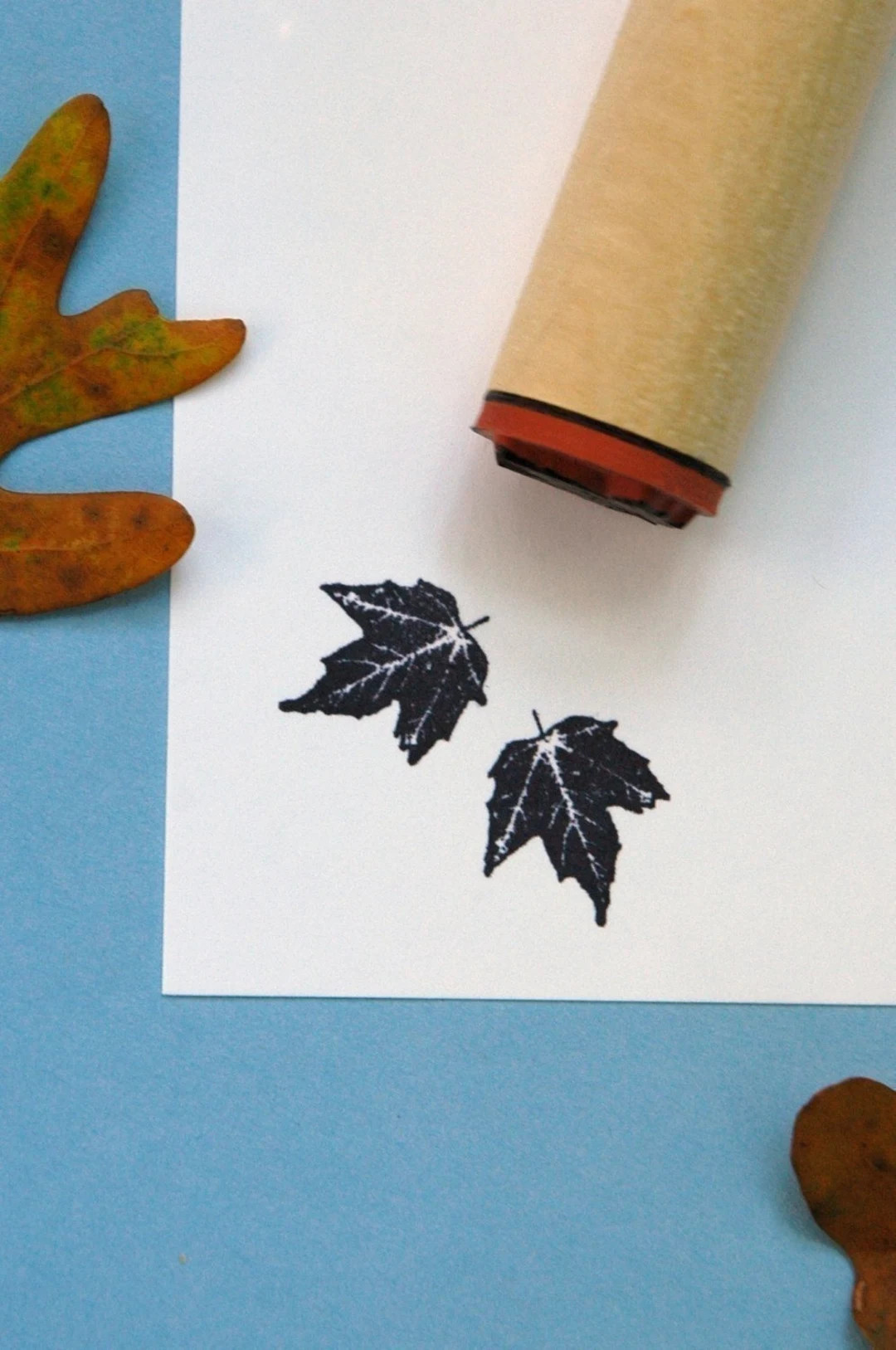 Canyon Maple Rubber Stamp | Etsy (US)