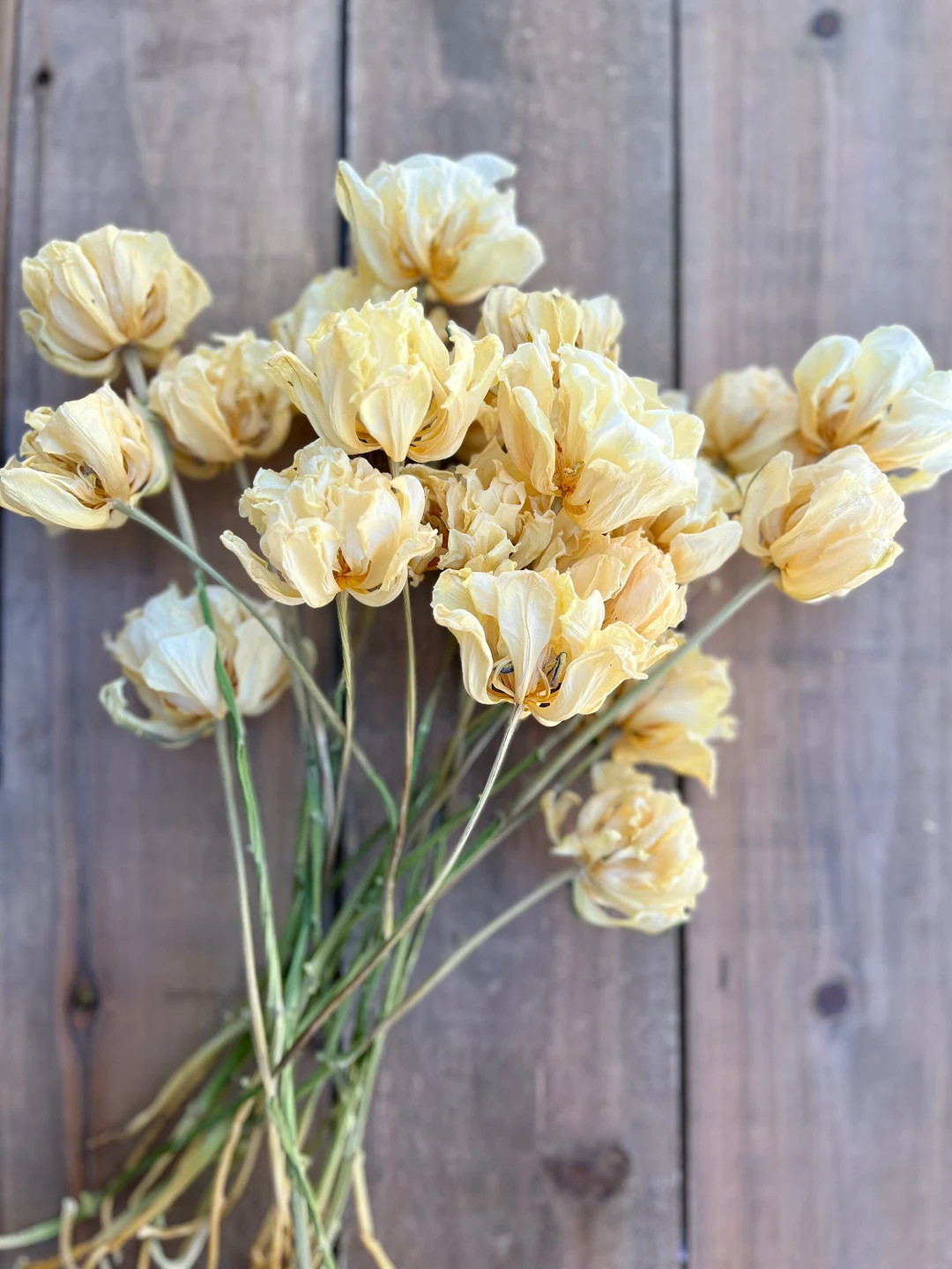Dried Tulips, Dried Flowers, Everlasting Flowers, Wedding Flowers, Cream Dried Flowers, Yellow, R... | Etsy (US)