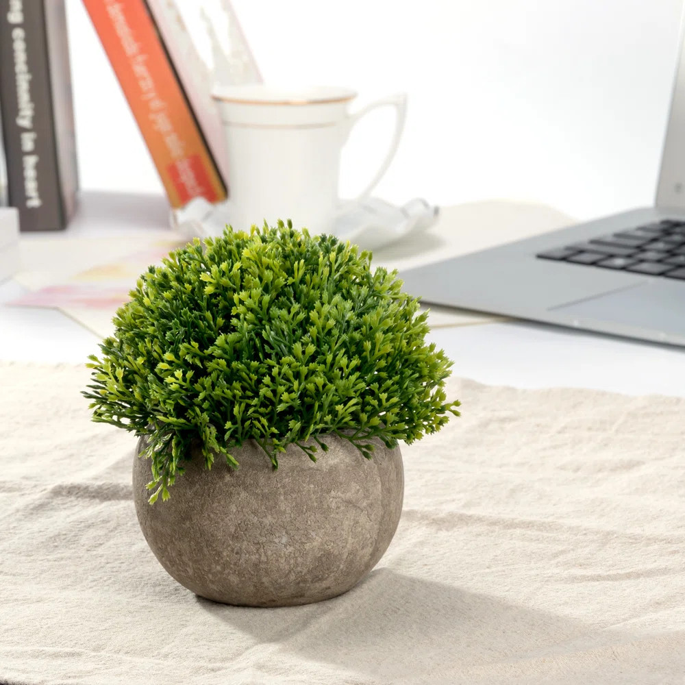 Primrue 5.3'' Faux Foliage Topiary in Pot | Wayfair | Wayfair North America