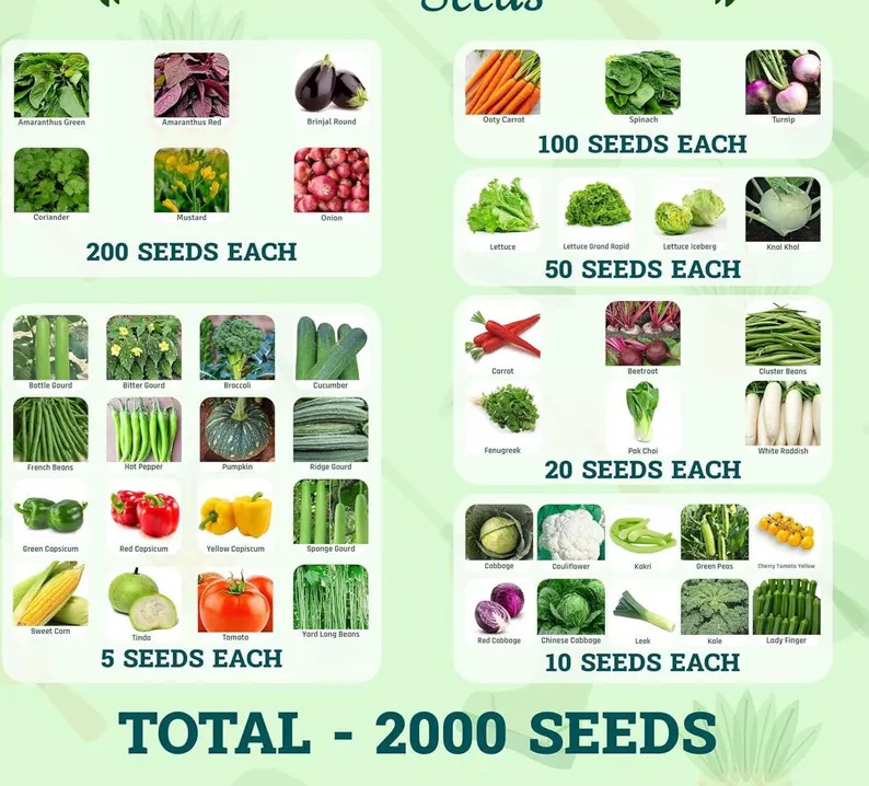 45 Varieties of Vegetable Seeds for Home Garden, Organic & Hybrid, Perfect for Home Gardening, Pl... | Etsy (US)