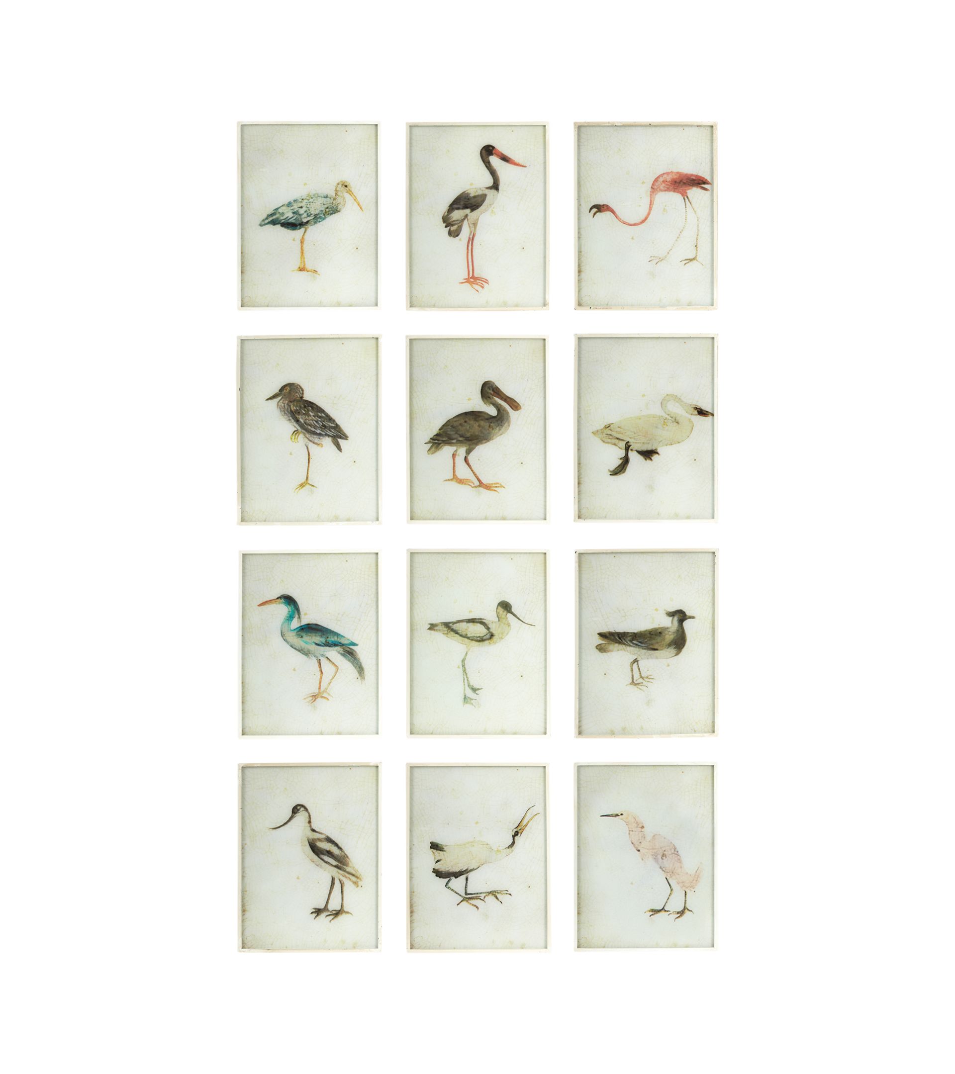 Set of Twelve Bird Paintings - Multi | OKA US