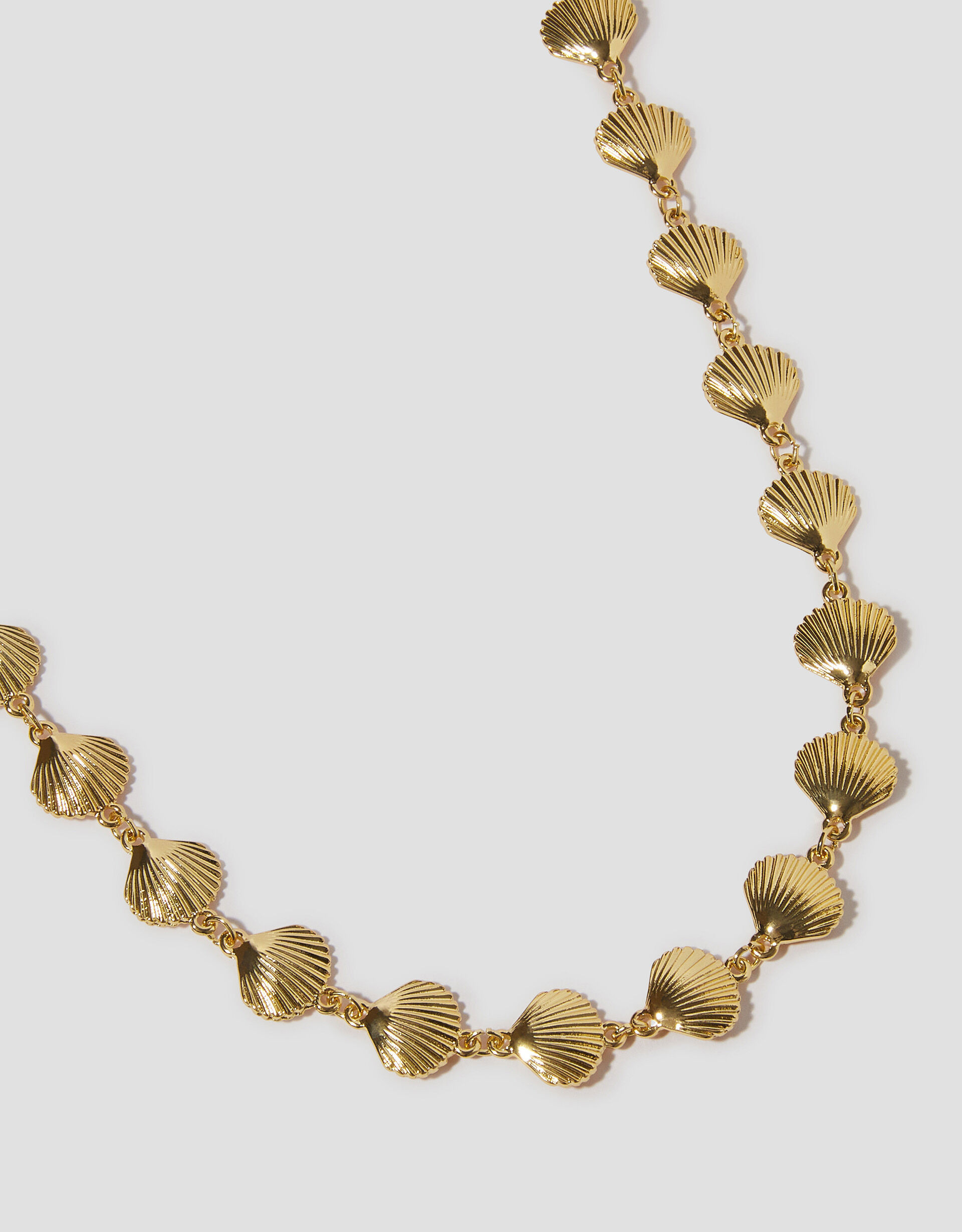 Scallop Shell Necklace | Monsoon (UK)