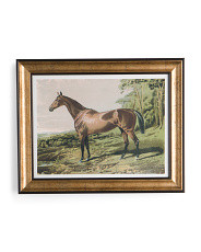 16x20 Flushed Brown Horse Framed Wall Art | Marshalls