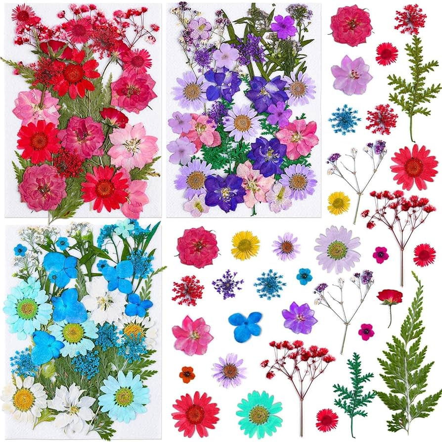 Thrilez 100Pcs Dried Pressed Flowers for Resin Crafts, Small Dried Flower Natural Herbs Pressed f... | Amazon (US)