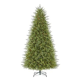 9 ft Grand Duchess Balsam Fir | The Home Depot