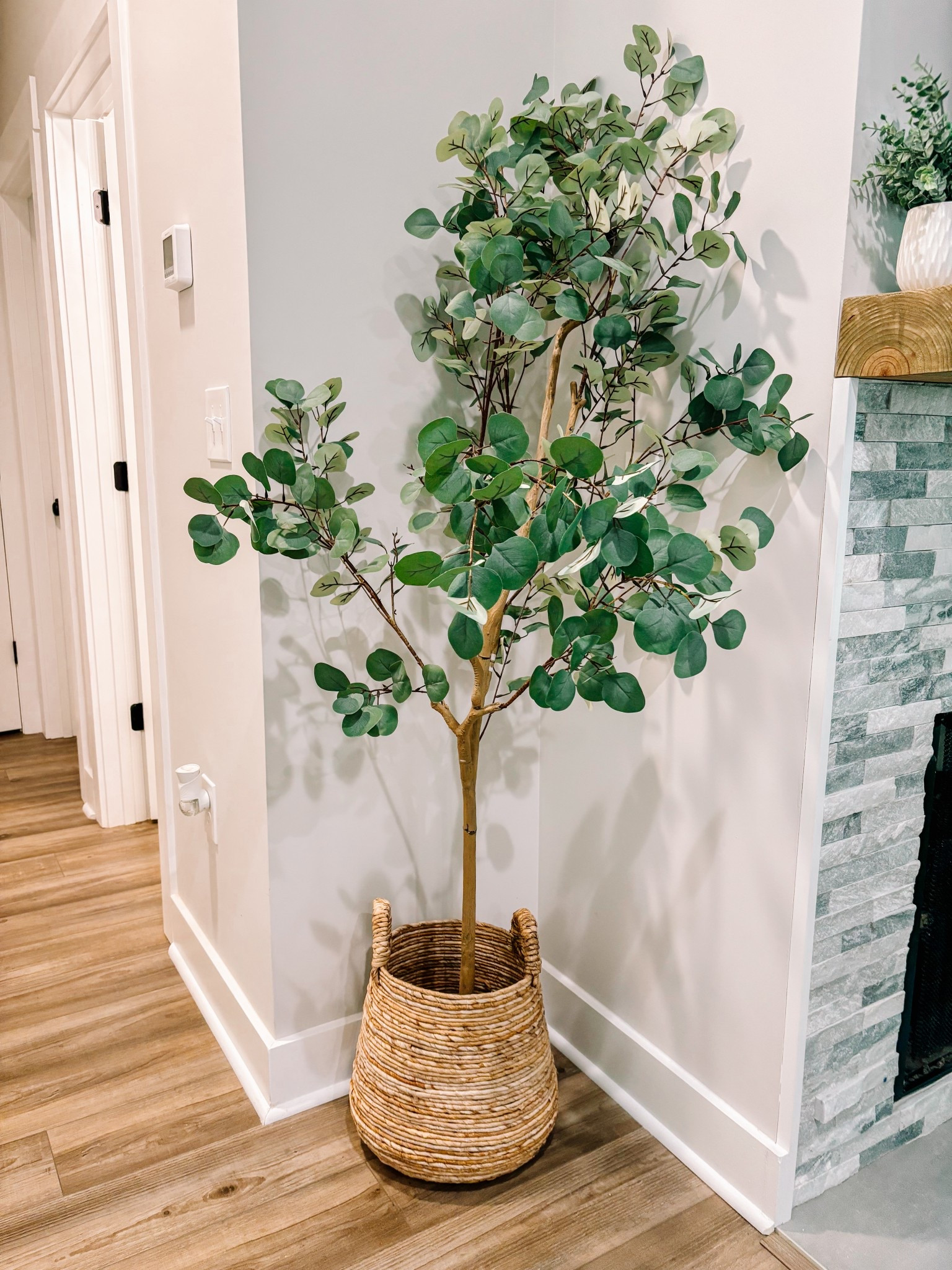 Needing to elevate a space in your home?! Get this down below😍

#LTKFamily #LTKHome