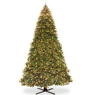 16 ft. Downswept Douglas Fir Tree with Dual Color® LED Lights - 15 Foot - Green | Bed Bath & Beyond