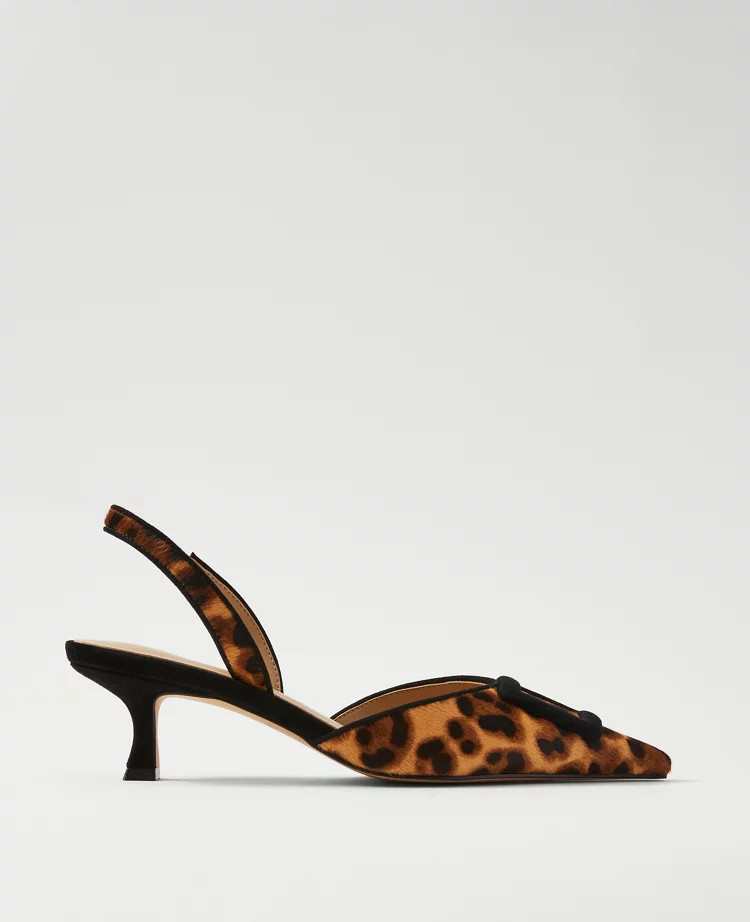 Pointy Toe Haircalf Pumps | Ann Taylor
