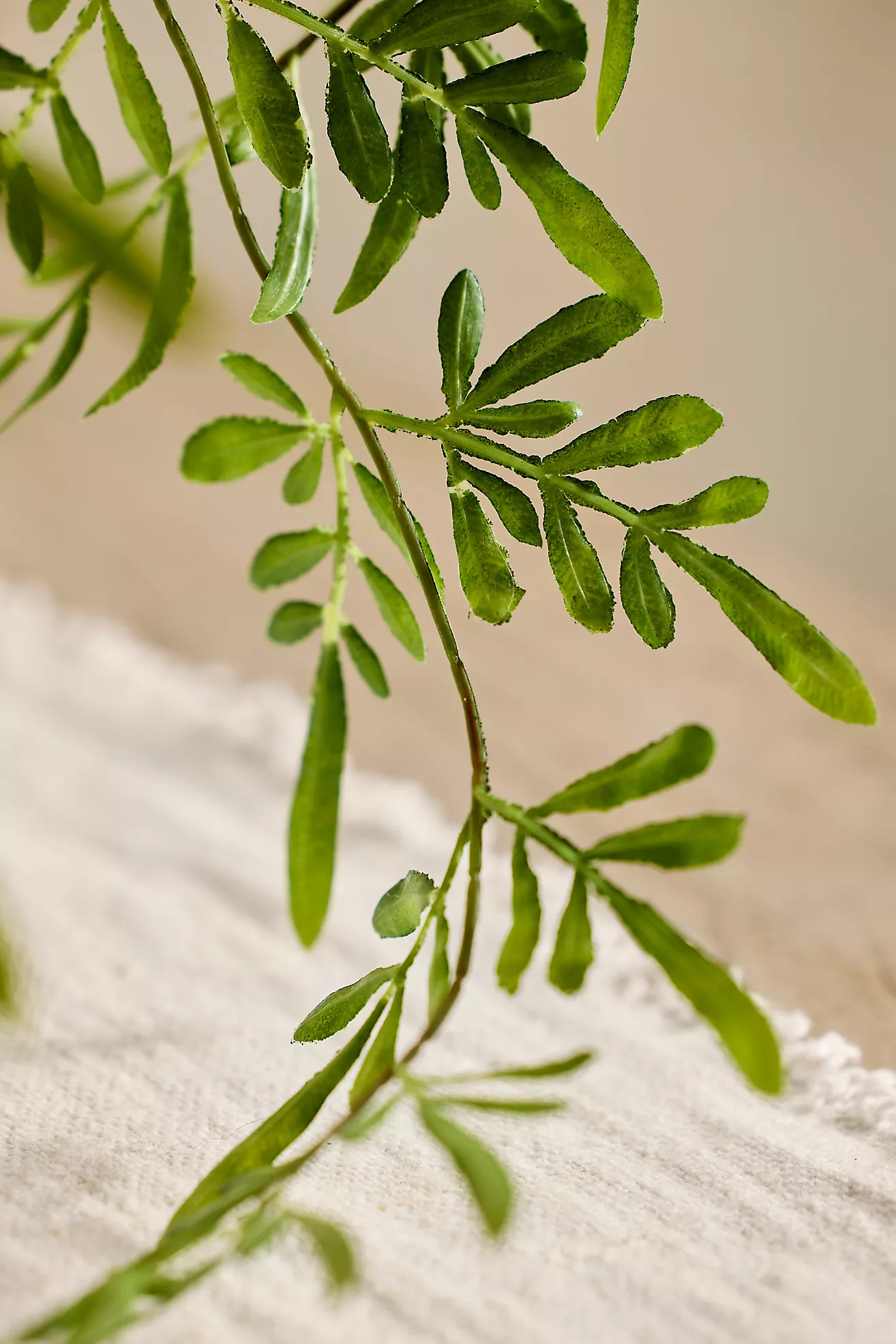 Faux Fern Bush | Terrain