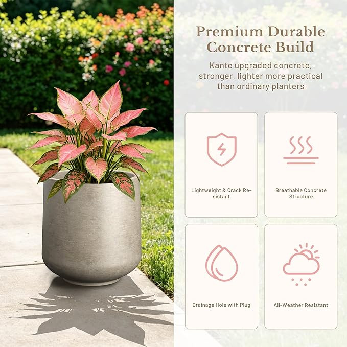 Kante Round Concrete Planter, 13"Tall Modern Flower Pot for Home Decor Buff | Lightweight Cement ... | Amazon (US)