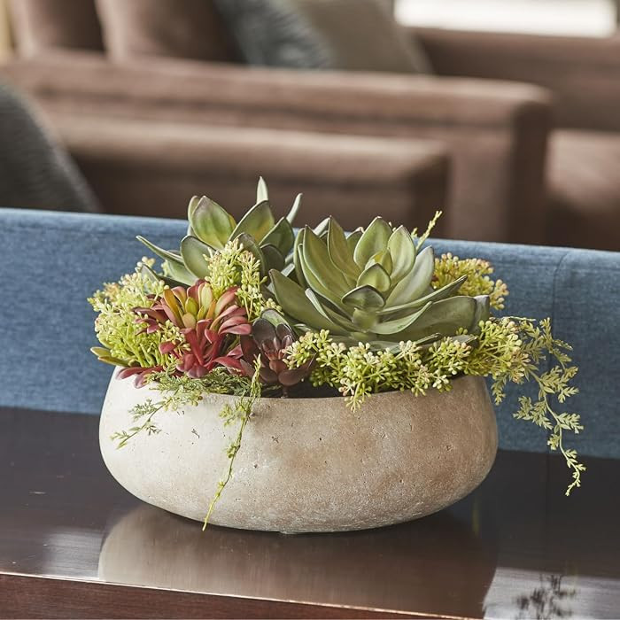CG Hunter, Round Faux Succulent Arrangement, 14 in, Natural, Home Decor | Amazon (US)