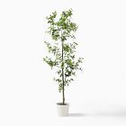 Faux Potted Quince Leaf Tree | West Elm (US)