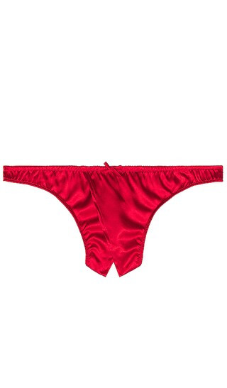 Luxe Crotchless Thong in Rouge | Revolve Clothing (Global)