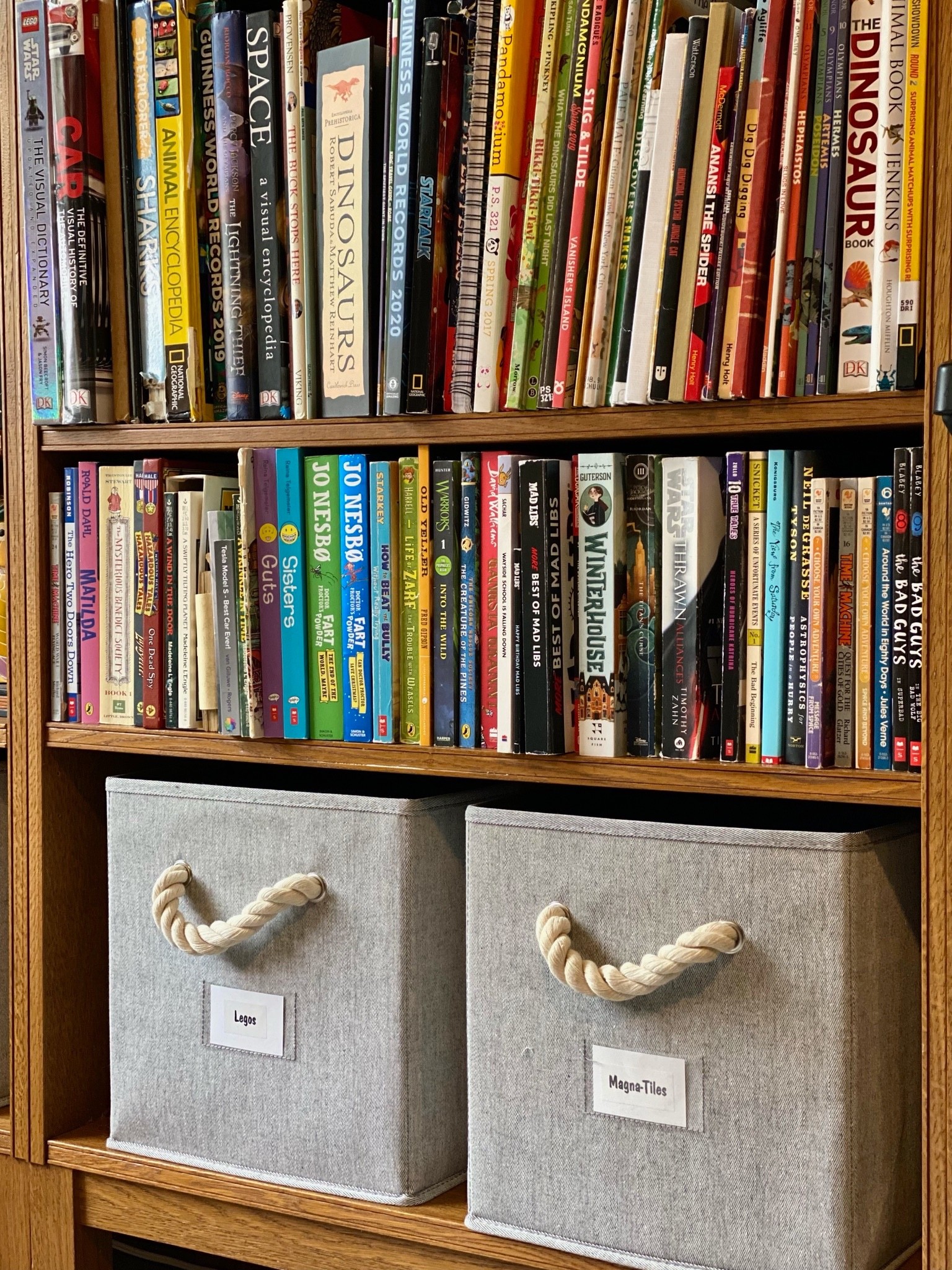 Rope bins are great for kids, and makes clean up quick while also concealing toys. Make sure to pick a version with a label window so kids can maintain categories.

#LTKfamily #LTKhome #LTKkids