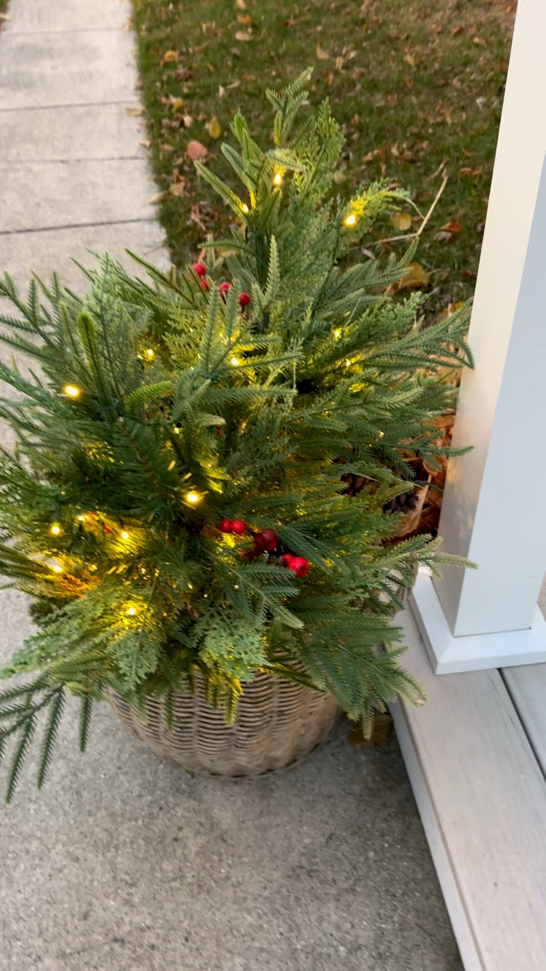 Loving these faux tree toppers from @target

#target #faux #greenery #outdoor #organizeddwelling 

#LTKHome #LTKSeasonal #LTKHoliday