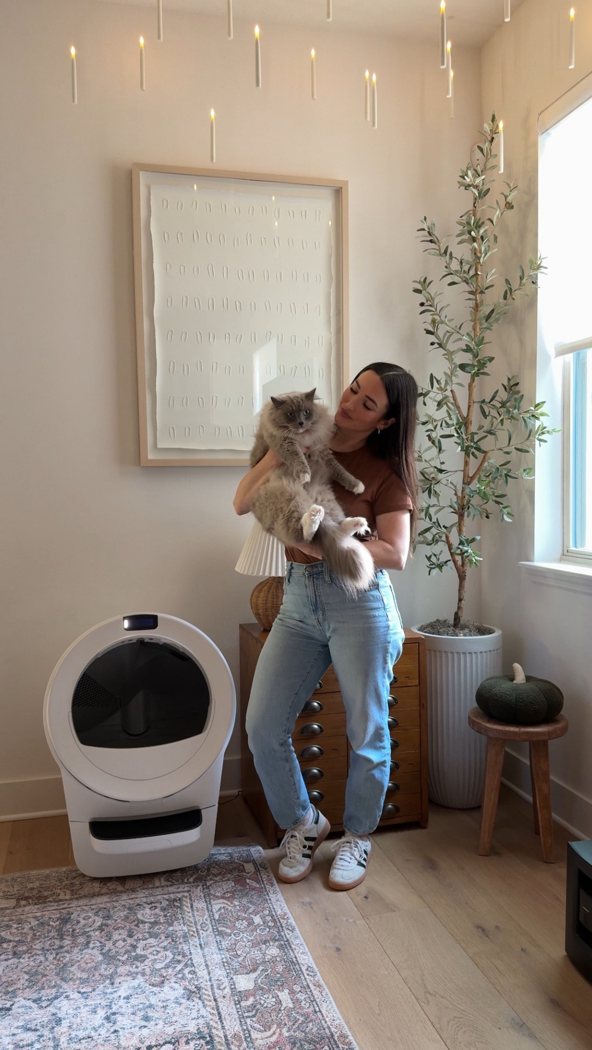 Litter-Robot 5

#LTKPets #LTKHome