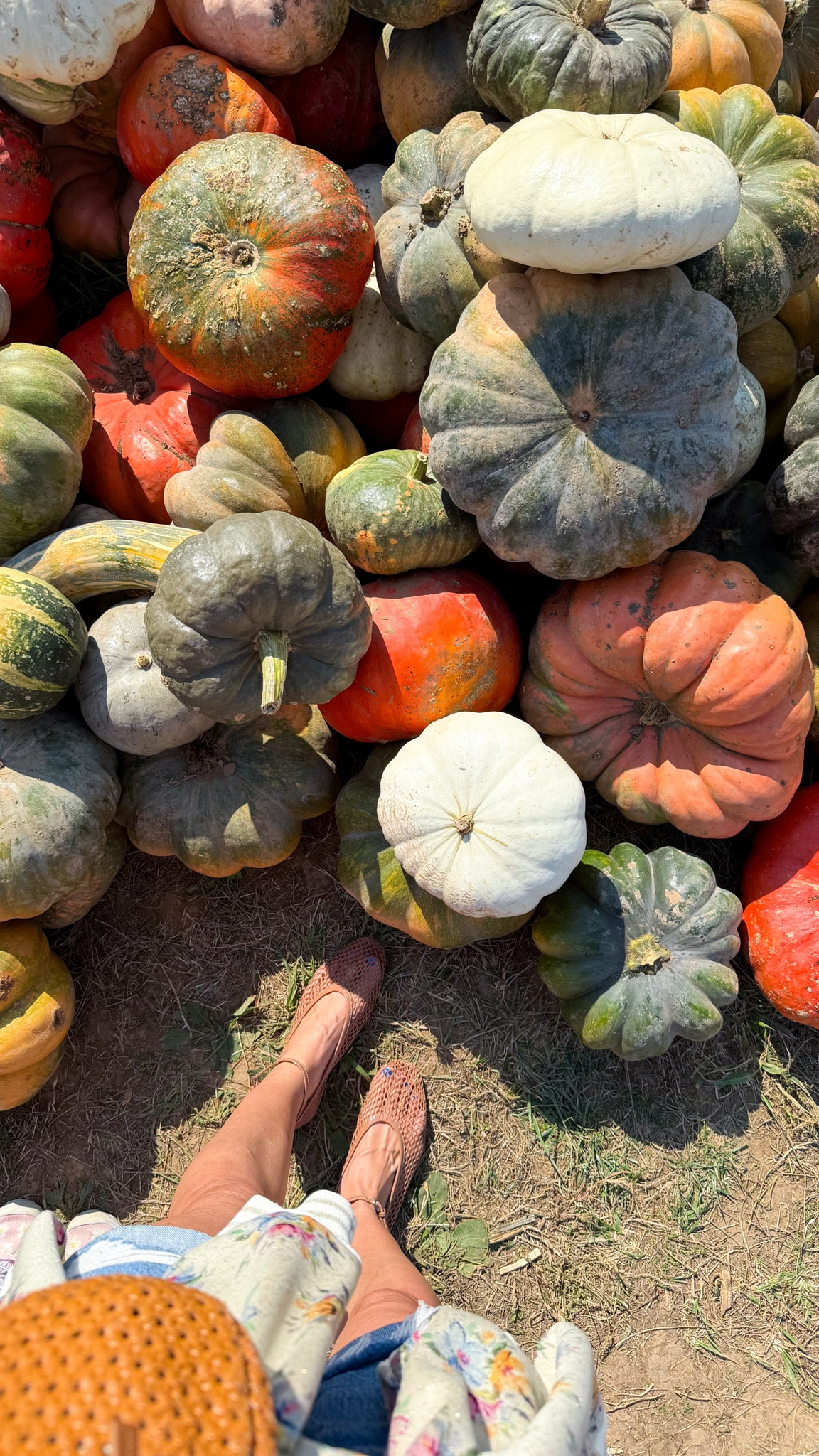 Pumpkin patching in these flats that I could walk all day in & my go-to crossbody. Shoes are true to size!

This jacket is sooo cute! It’s old but I found some similar options!

#LTKStyleTip #LTKItBag #LTKSeasonal