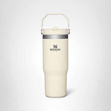 STANLEY IceFlow Stainless Steel Tumbler with Straw - Vacuum Insulated Water Bottle for Home, Offi... | Amazon (US)