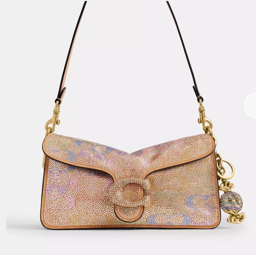 Coach Candy Tabby & Charm!

#LTKSaleAlert #LTKHoliday #LTKHome