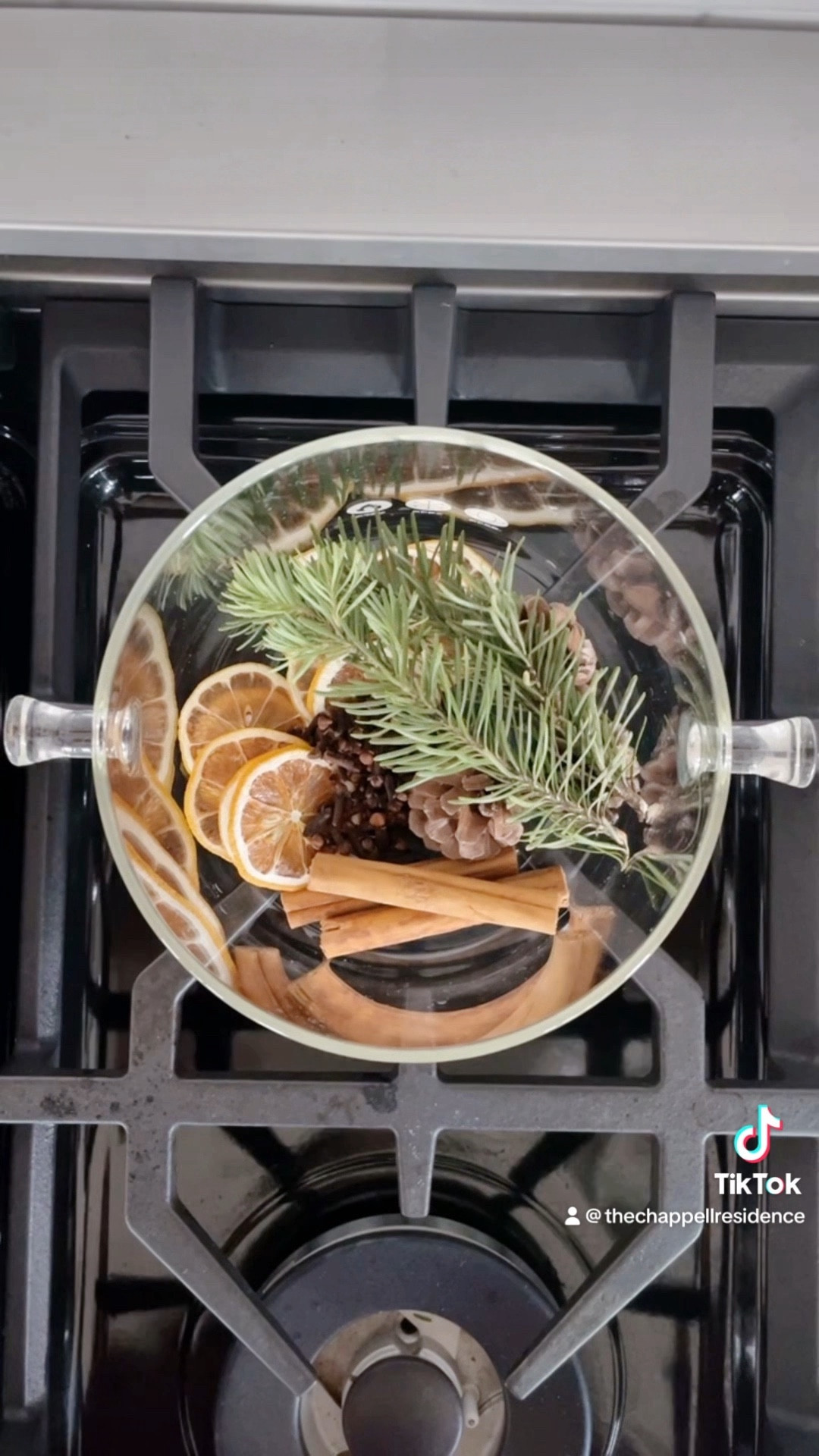 January Stovetop Potpourri

#LTKU #LTKSeasonal #LTKhome