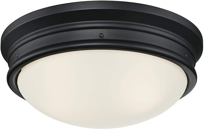 Westinghouse Lighting 6578100 Meadowbrook 13 inch Traditional Two-Light Flush Mount Outdoor Ceili... | Amazon (US)