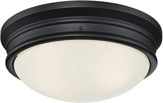 Westinghouse Lighting 6578100 Meadowbrook 13 inch Traditional Two-Light Flush Mount Outdoor Ceili... | Amazon (US)