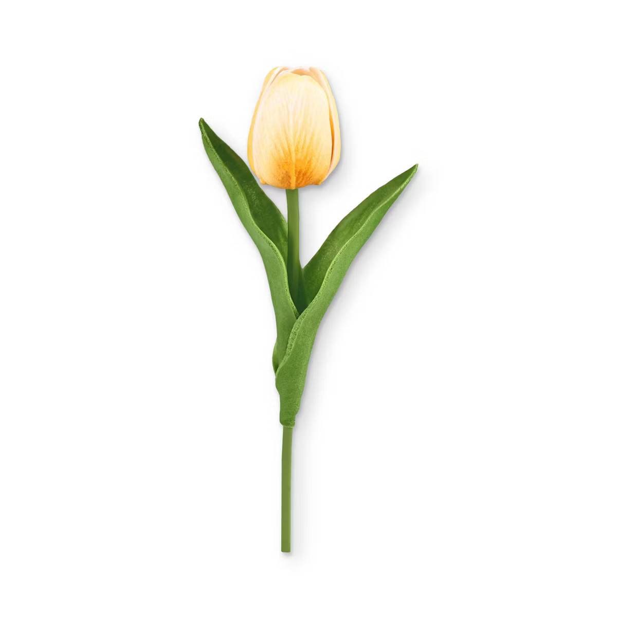 8" Tulip - Bullseye's Playground™ | Target