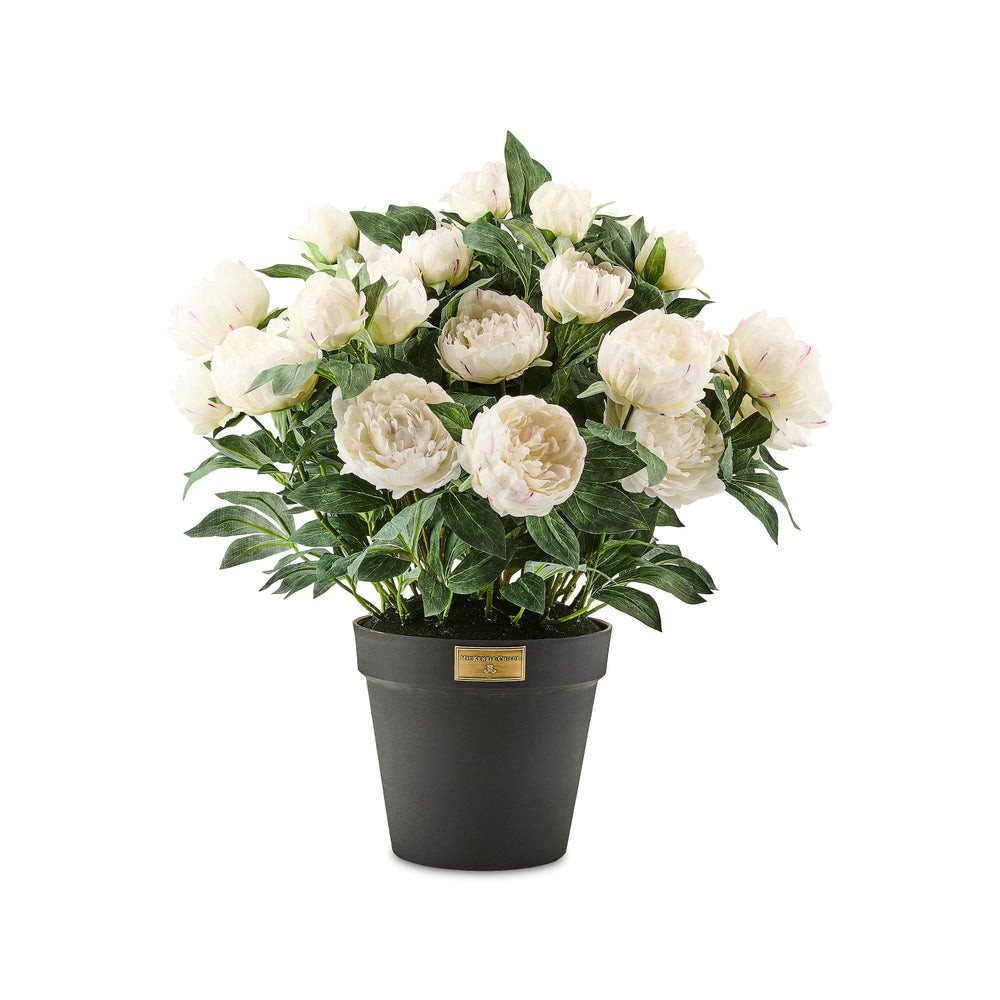White Peony Urn Filler | MacKenzie-Childs
