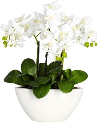 Nearly Natural 4804 15in. Phalaenopsis Silk Flower Arrangement,White,14.5" x 11" x 4.5" | Amazon (US)