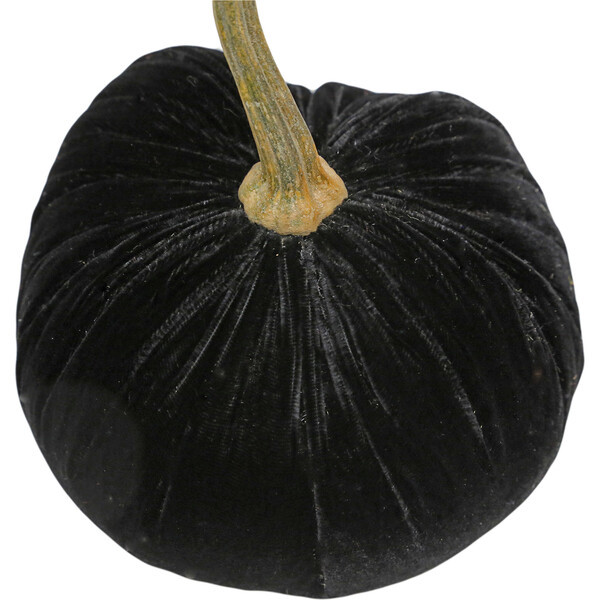 Velvet Pumpkin, Ivory | Maisonette