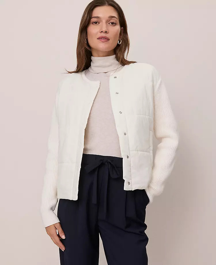 Ann Taylor | Ann Taylor