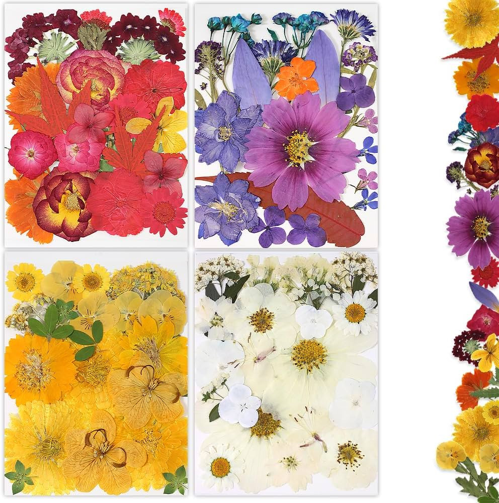 Dried Pressed Flowers, 80Pcs Real Natural Pressed Flowers for Resin Nail Art Scrapbooking Candle ... | Amazon (US)