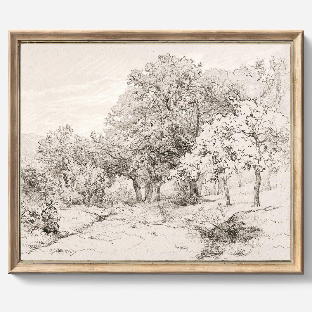 Vintage Wall art, Classical Sketch Poster Prints, Room Decor for Home Office Bedroom Living Room,... | Amazon (US)