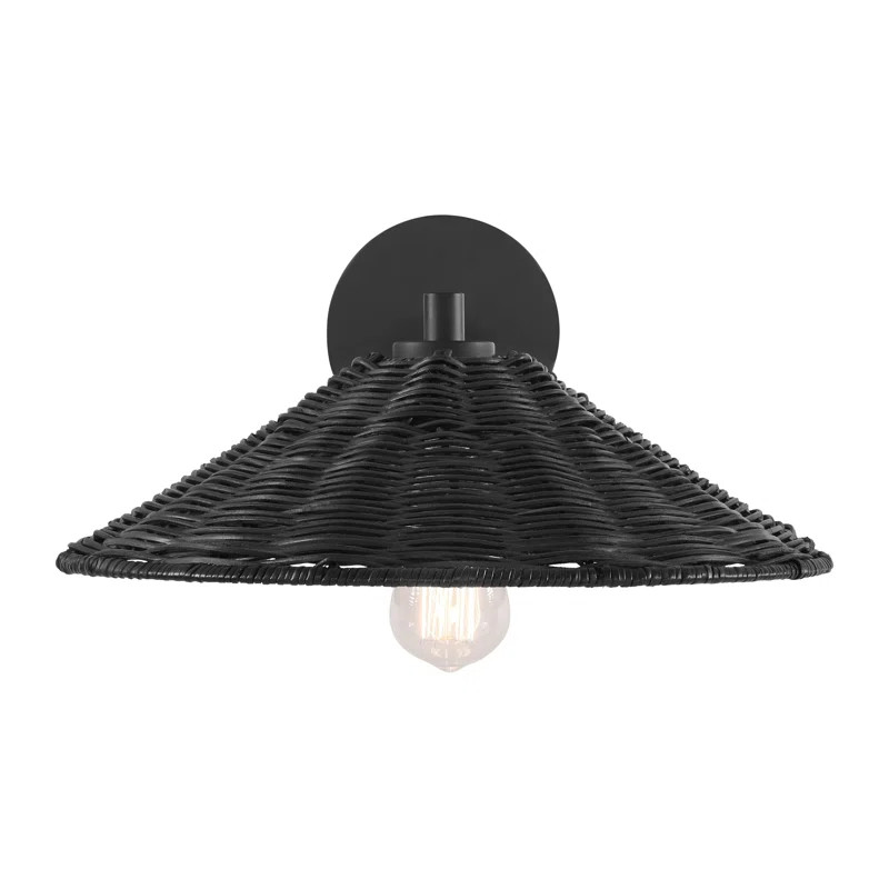 Lilliana Armed Sconce | Wayfair North America