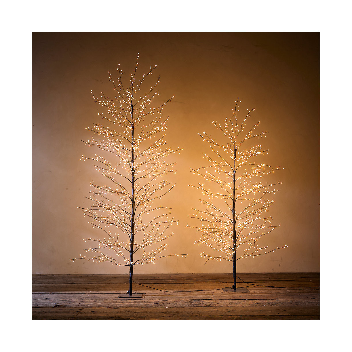 Stargazer Nature Effects LED Outdoor Tree, Full | Terrain