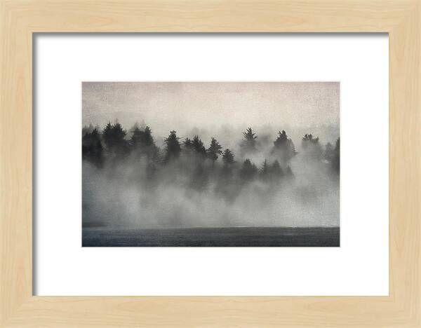 Glimpse of Mist and Trees Framed Print | Fine Art America