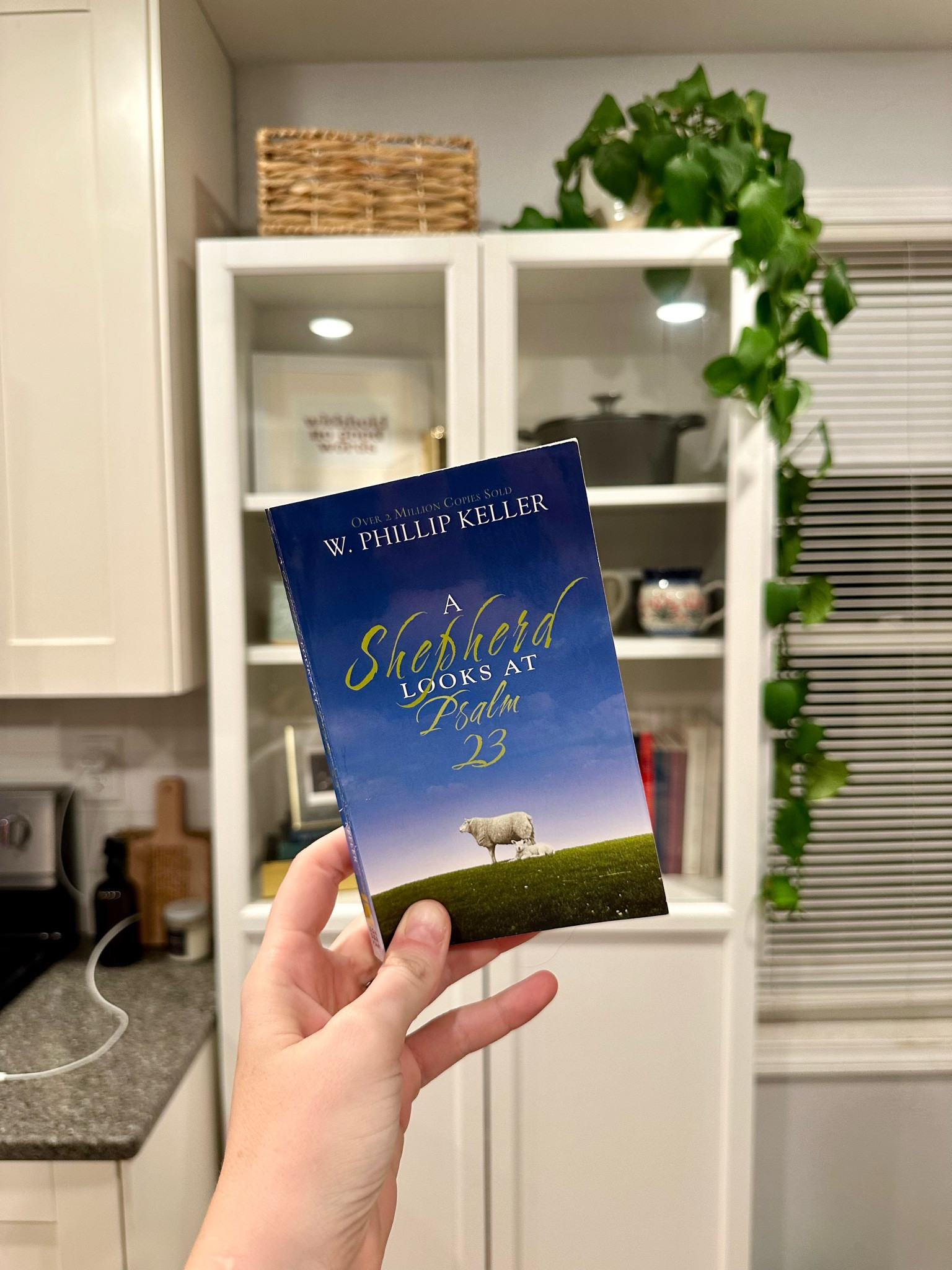 This book brought my understanding of Psalm 23 to a deep, deep level. It wrecked my mind in the best way possible. Want to know why we are so often referred to as sheep and why Jesus is indeed the Good Shepherd? Read this  

#LTKfamily #LTKhome #LTKfindsunder50