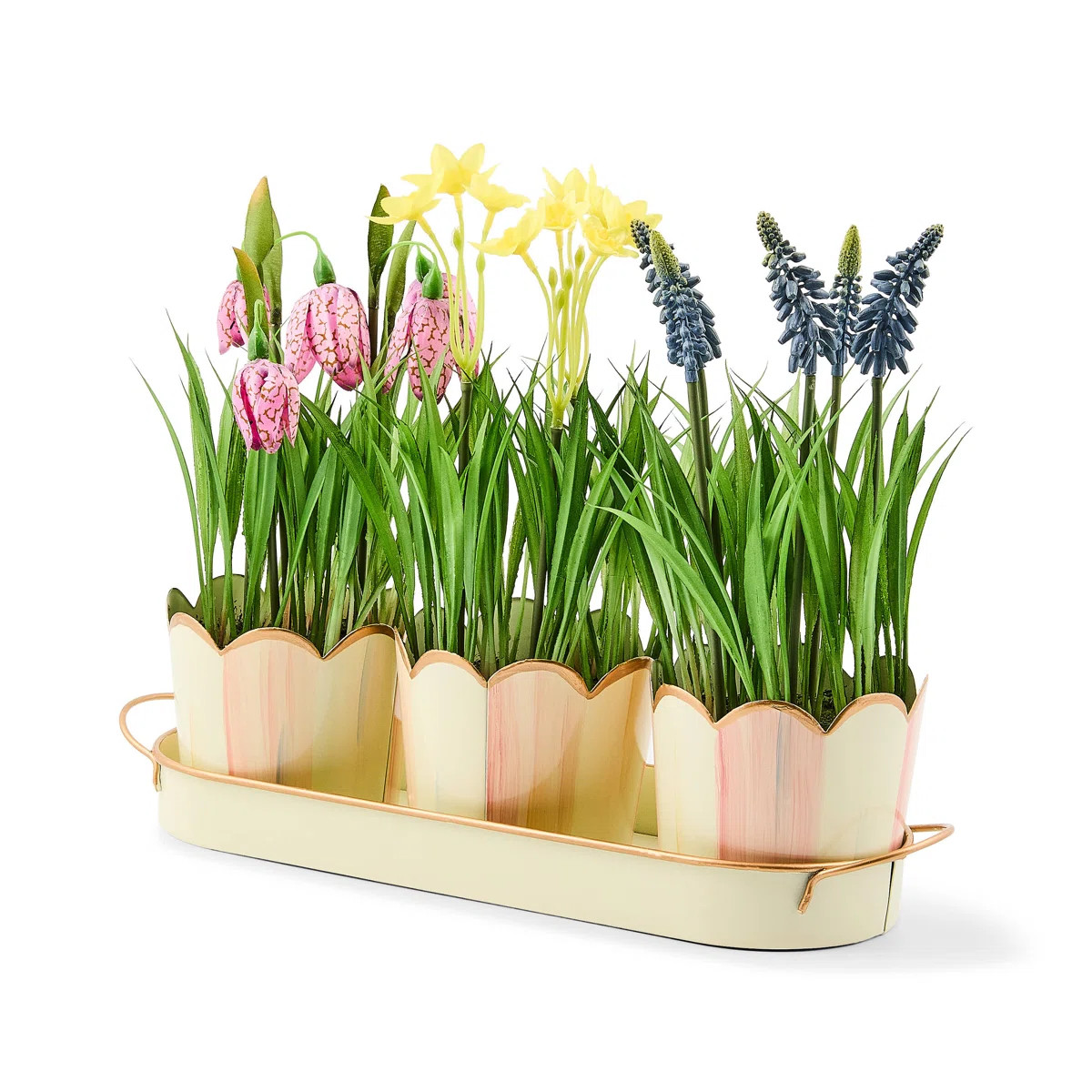 Rosy Stripe Triple Potted Blooms | Perigold