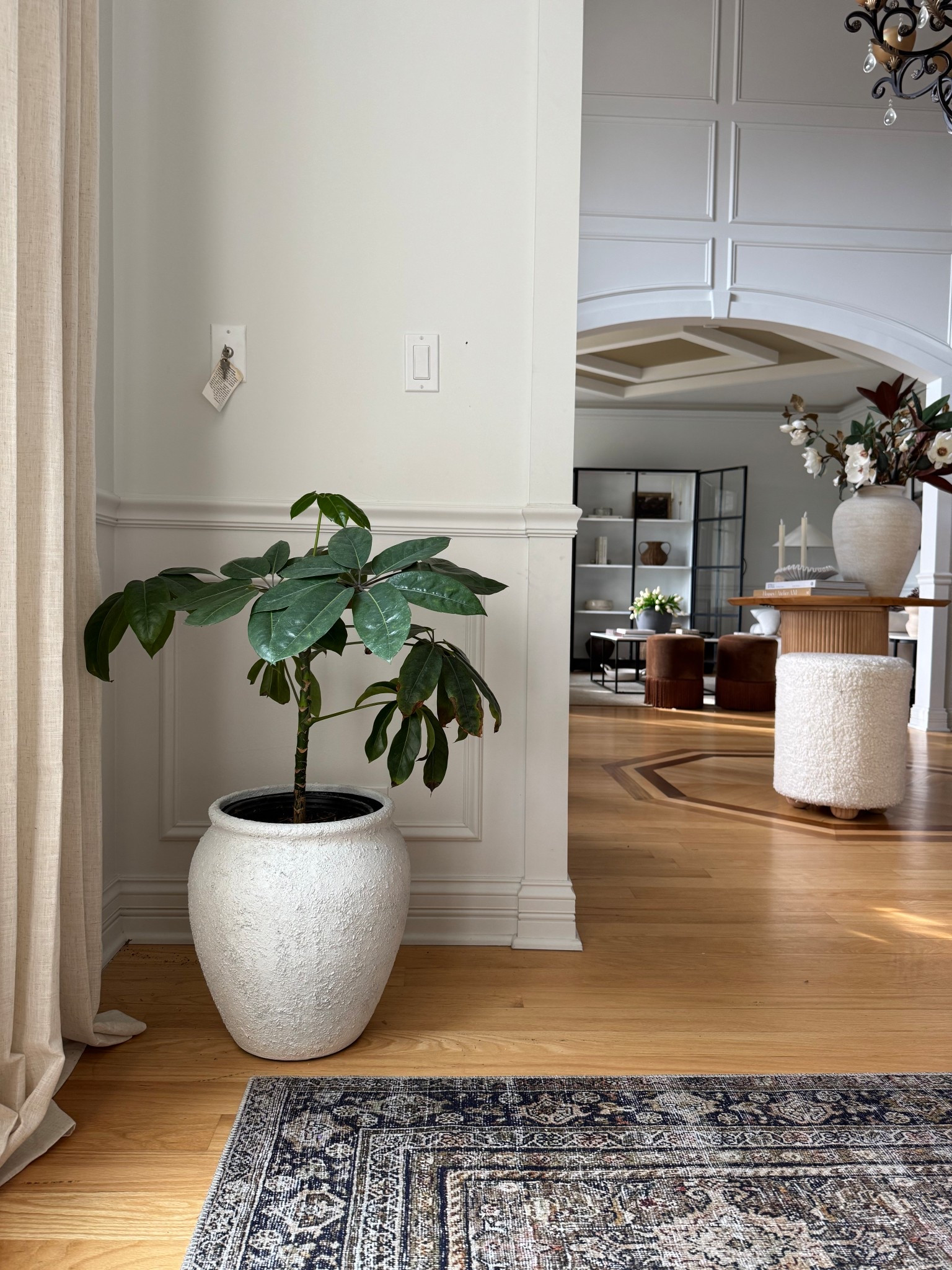 Gorgeous planter from Lowe’s! @lowes #loweshomeimprovement #planter 

#LTKSpringSale #LTKFindsUnder100 #LTKHome