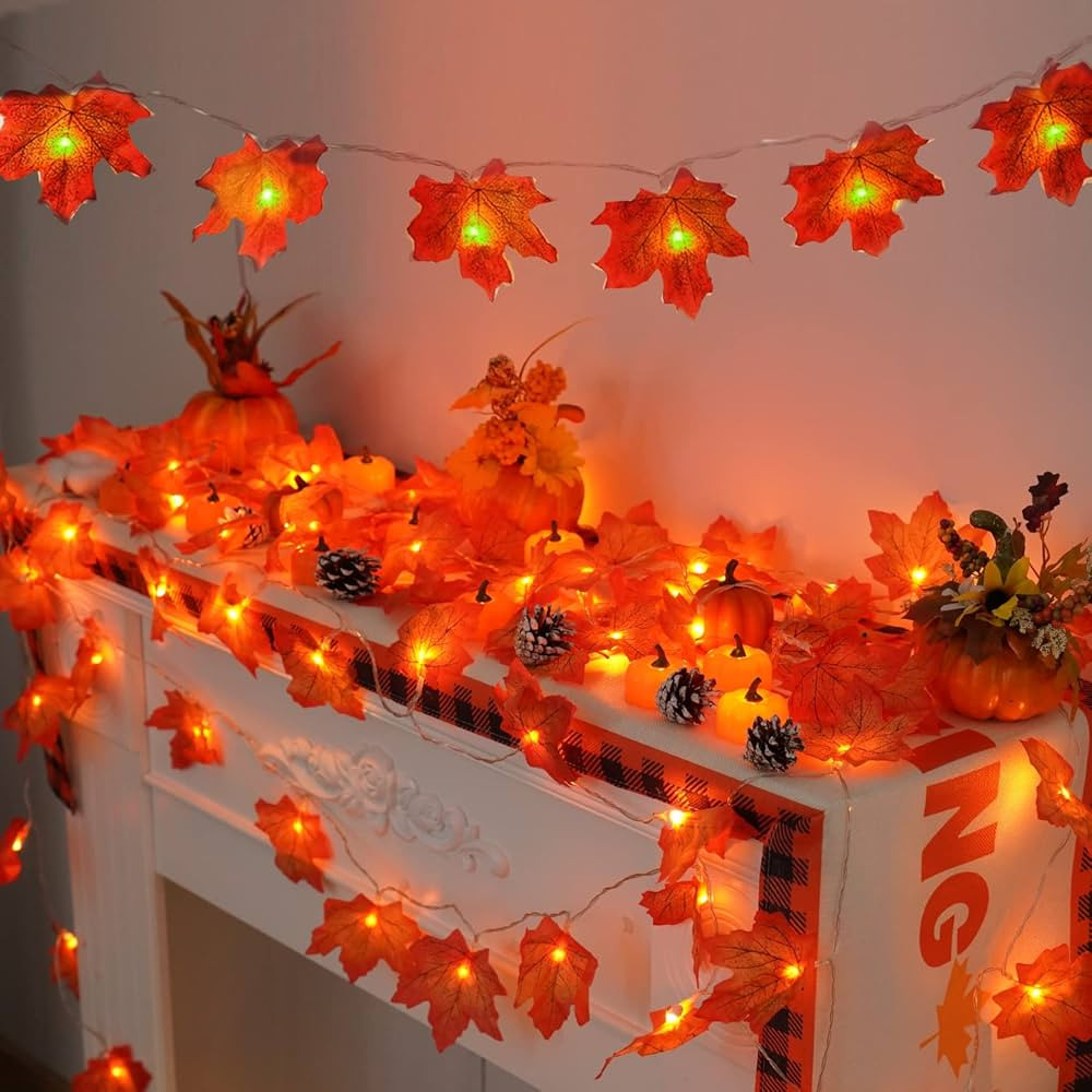 YEGUO 2 PCS Fall Decorations for Home, Thanksgiving Lights Battery Operated, Total 20ft 40 LED Li... | Amazon (US)