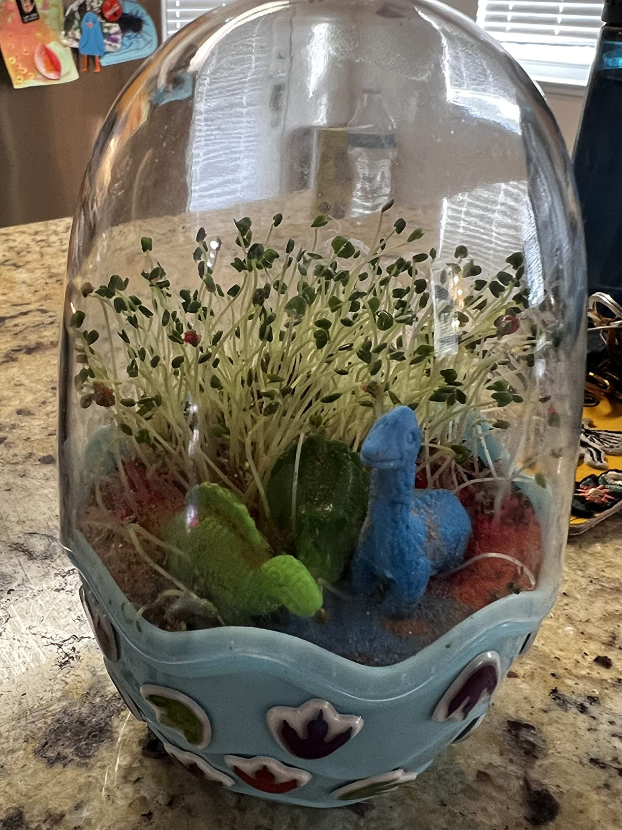 Creativity for Kids Mini Garden: Magical Unicorn - Gifts for Girls and Boys Age 6-8+, Arts and Cr... | Amazon (US)