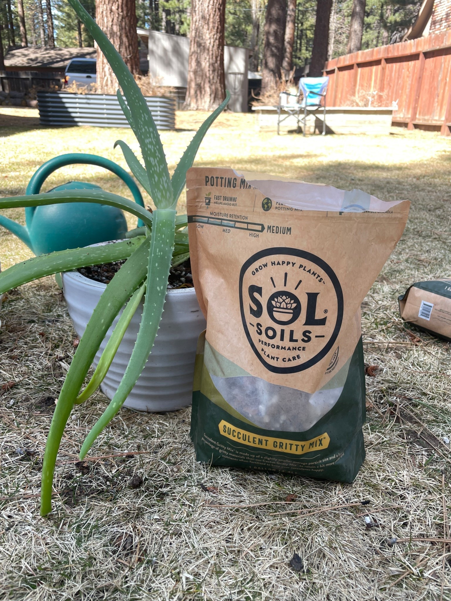 Not all soil is created equal.

Chunky. Fast-draining. Root-friendly.

This is your sign to upgrade your plant’s foundation.

#LTKSeasonal #LTKHome