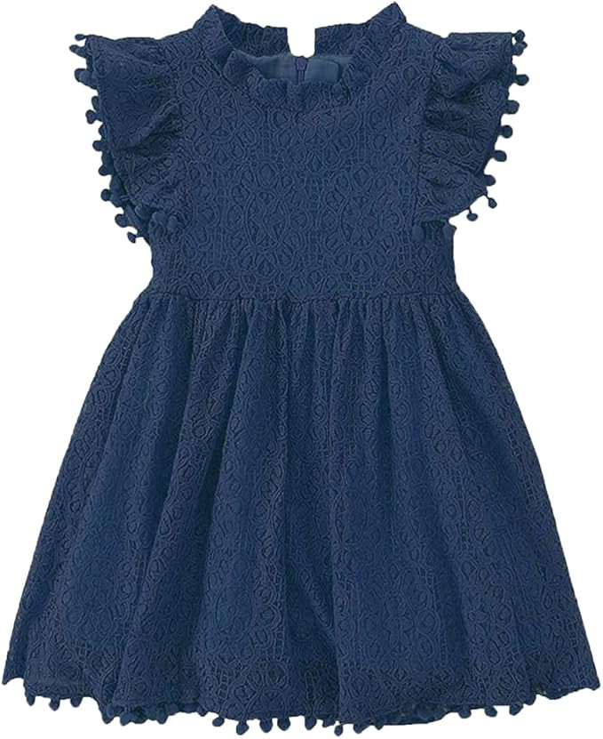 Toddler Girls Lace Dresses Baby Girl Elegant Dress Flutter Sleeve Lace Dress Party Princess Dress | Amazon (US)