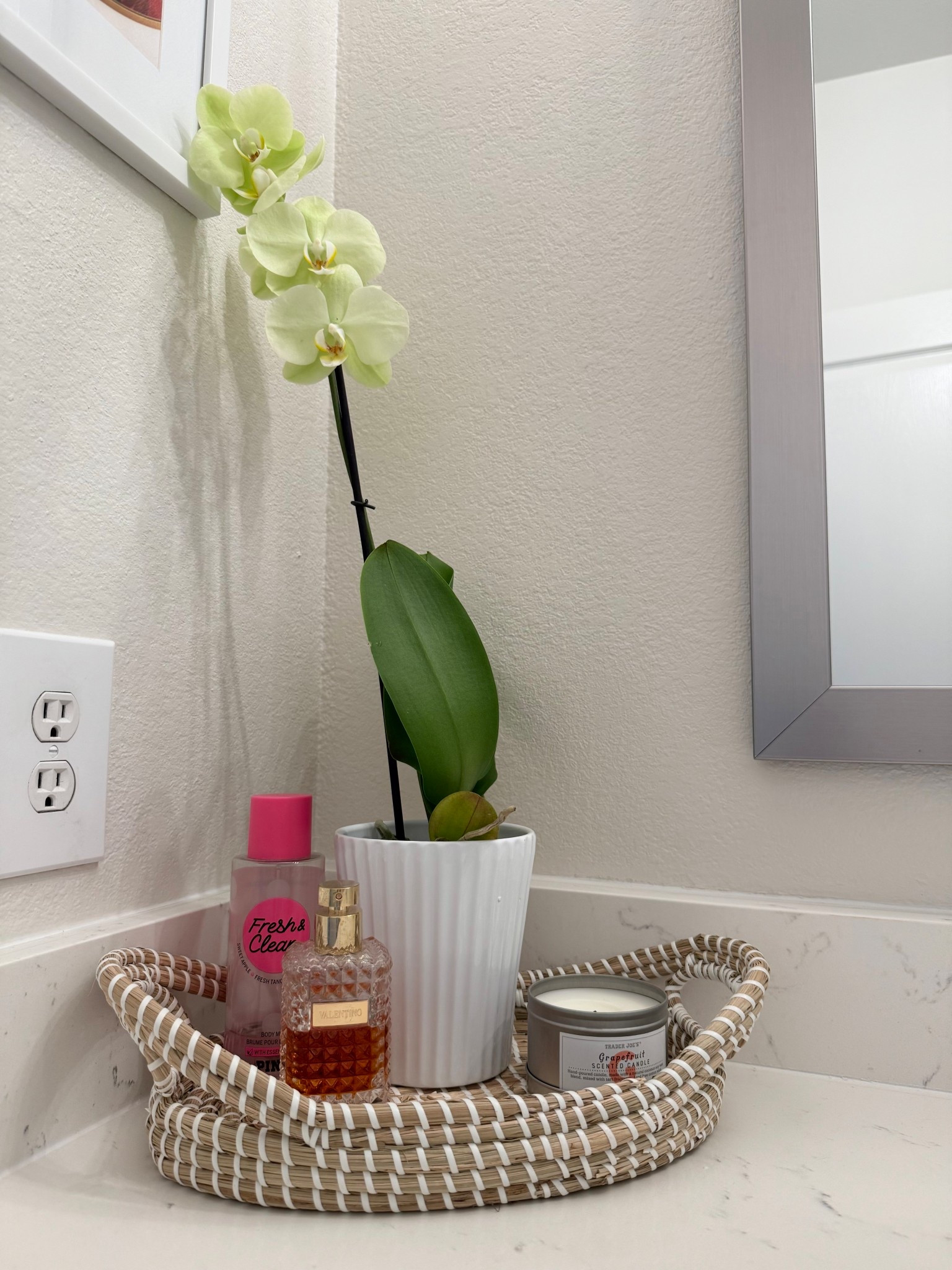 Bathroom Decor

Orchid
Flowers
Apartment decor
Apartment bathroom
Bathroom decorations
Bathroom style
White bathroom
Bathroom setup
Perfume tray
Wicker tray
Bathroom tray
Bathroom candle
Candle
Girly bathroom
Girl bathroom
Minimalist style
Clean bathroom


#LTKHome #LTKFindsUnder50