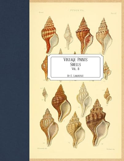 Vintage Prints: Shells: Vol. 8 | Amazon (US)