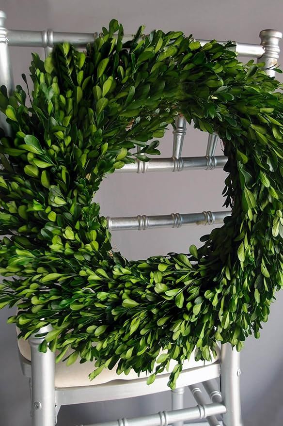 Wayfair Natural Preserved Round Boxwood Wreath 16in | Amazon (US)
