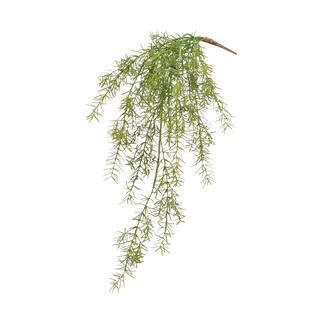 Asparagus Fern Hanging Bush | Michaels | Michaels Stores
